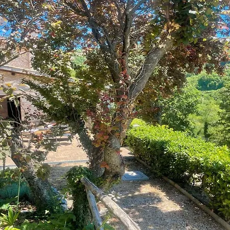 Italian House With Swimming Pool Onsite 度假居 *