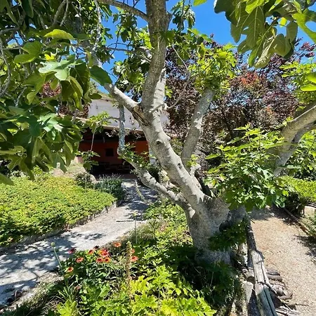 بيت للعطل Italian House With Swimming Pool Onsite سبوليتو